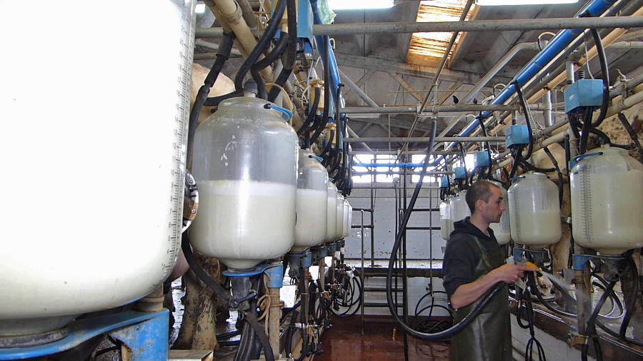 3-steps-how-to-clean-dairy-equipment